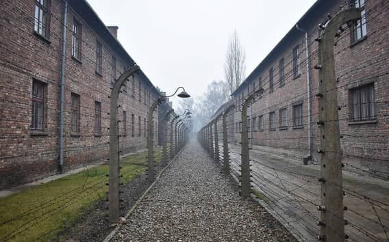 Krakow: Auschwitz-Birkenau Day Trip with Tour Leader