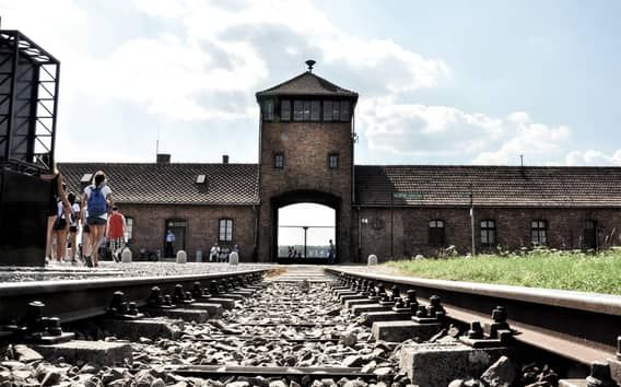 Krakow: Auschwitz-Birkenau Guided Tour Pickup/Lunch Options
